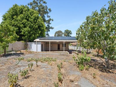 26 Dorothy Street, Ashfield