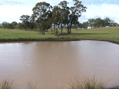 4646 Strathbogie Road, Emmaville