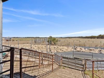 498 Four Tree Road, Lismore