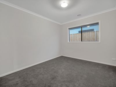 17 Kakadu Street, Clyde North