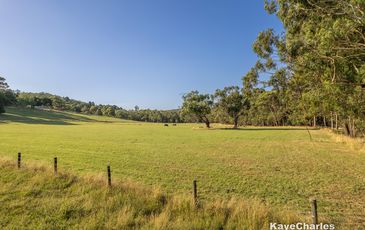 55 Leppitt Road, Pakenham