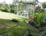 6B Park Lane, Buderim