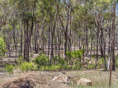 Lot 1, Wilson Road, Heathcote