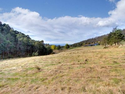 184 Golden Valley Road, Cygnet