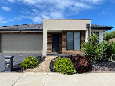 18 Seedgrass Street, Point Cook