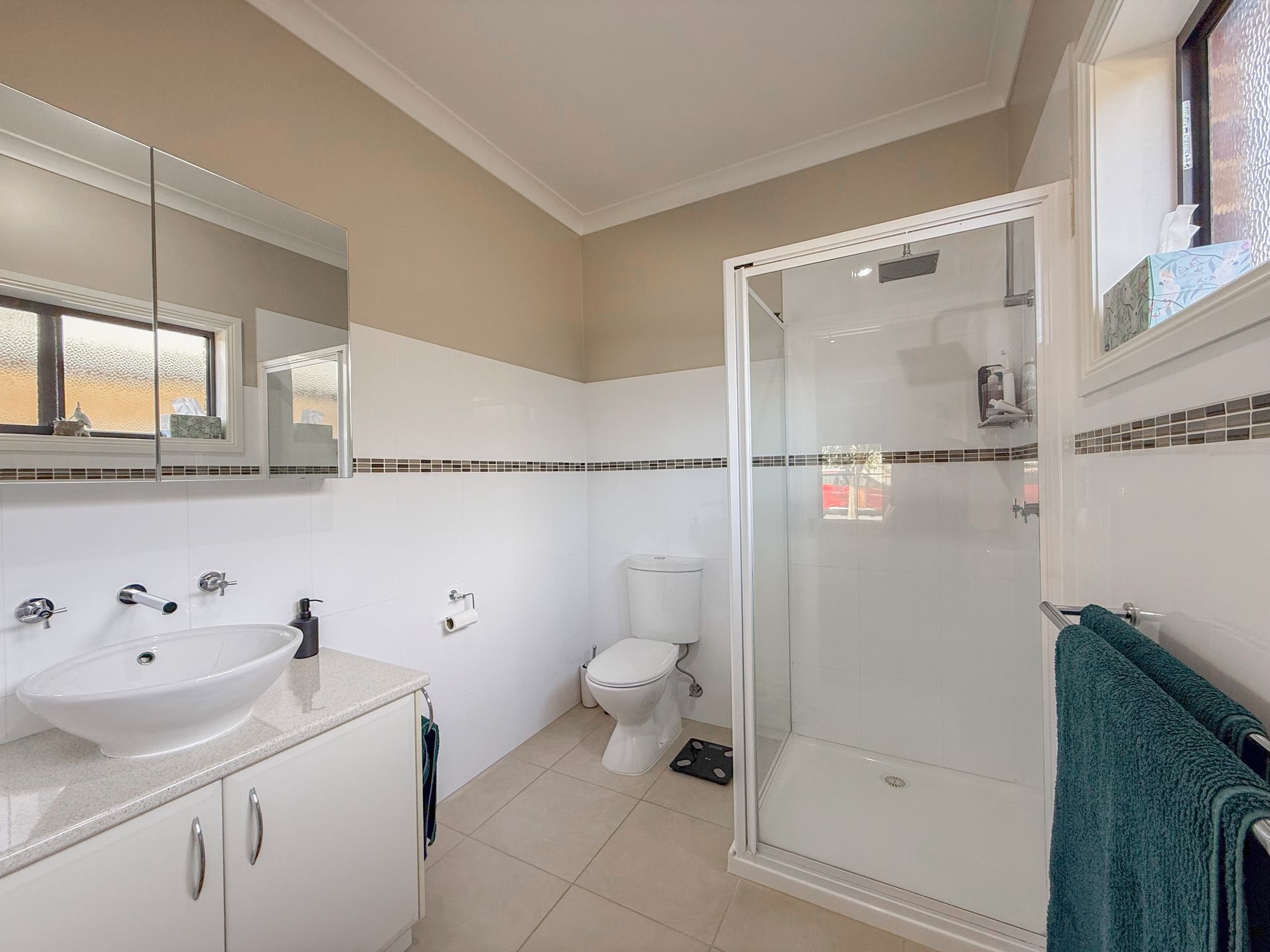 8 Merit Crescent, Swan Hill