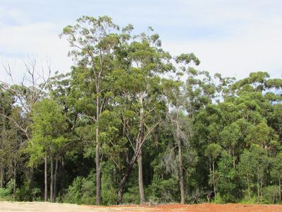 7 Kamala Avenue, Ulladulla