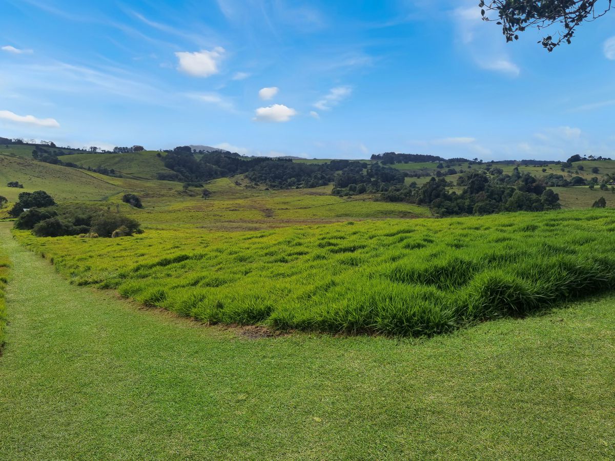 428 Powley Road, Barrine