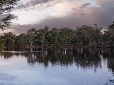 57 Mariposa Gardens, Success