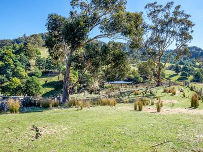 Ra Alans Road, Petcheys Bay