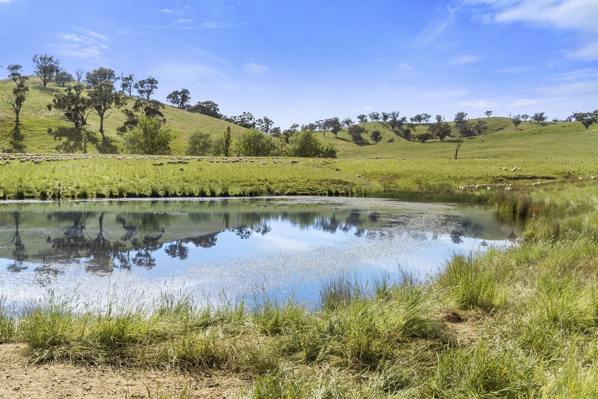 91 Eagles Lane, Bonnie Doon