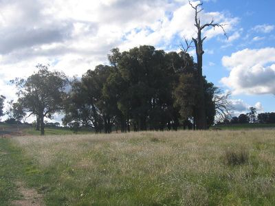 LOT 4 TUSCAN DRIVE, Heathcote