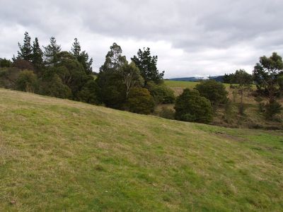 299 She Oak Road, Judbury