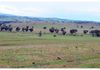 Coates Creek Road, Manildra