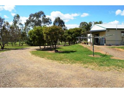 Lot 7 Phillip Street, Carroll