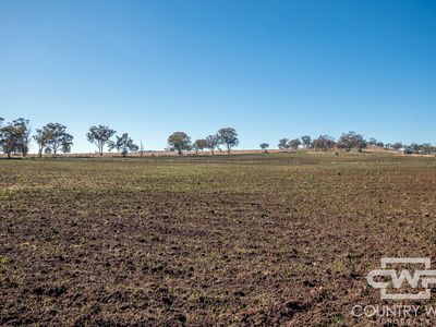 Lot 8, - Emmaville Road, Emmaville