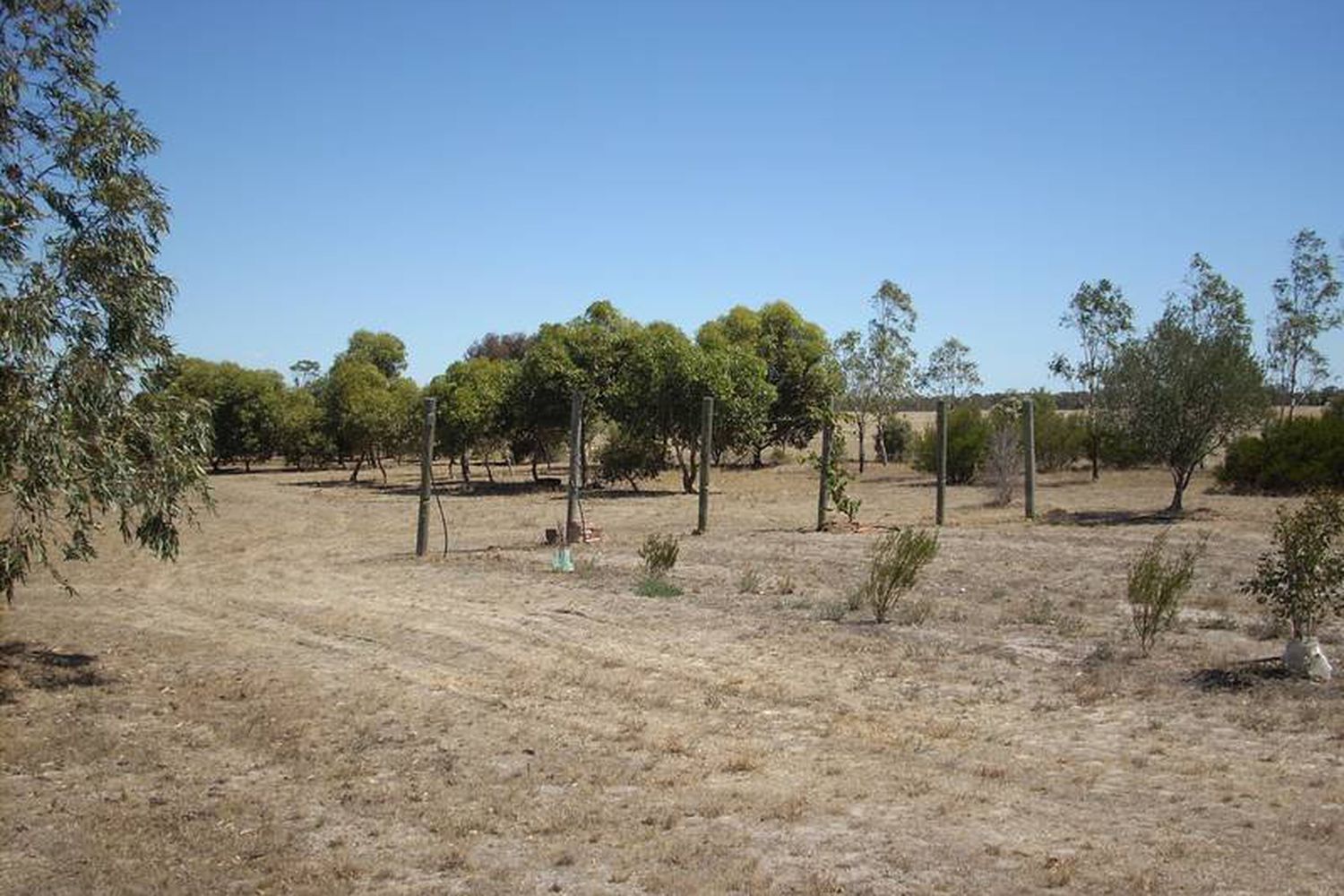 1133 Wimmera Highway, Horsham