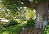 2405 Mitchell Highway, Orange