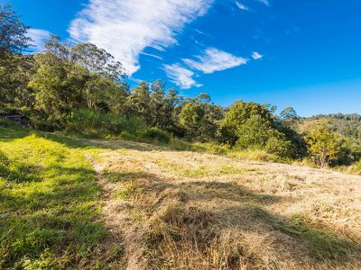 399 Bishops Creek Road, Coffee Camp