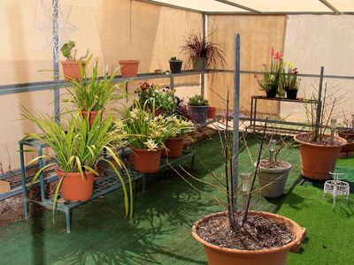 3 Ferrier Street, Lockhart