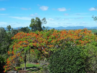 84 Tyree Road, Mount Julian