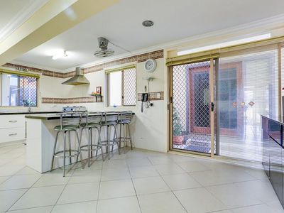 81 Frangipani, Inala