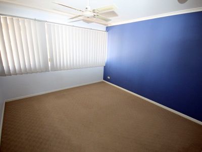 43 / 1 Ibis Boulevard, Eli Waters
