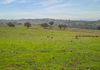 6119 Burrendong Way, Stuart Town