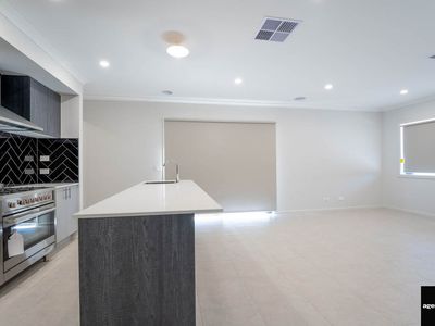 20 Ipswich Avenue, Werribee