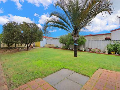 48 Congdon Avenue , Beeliar