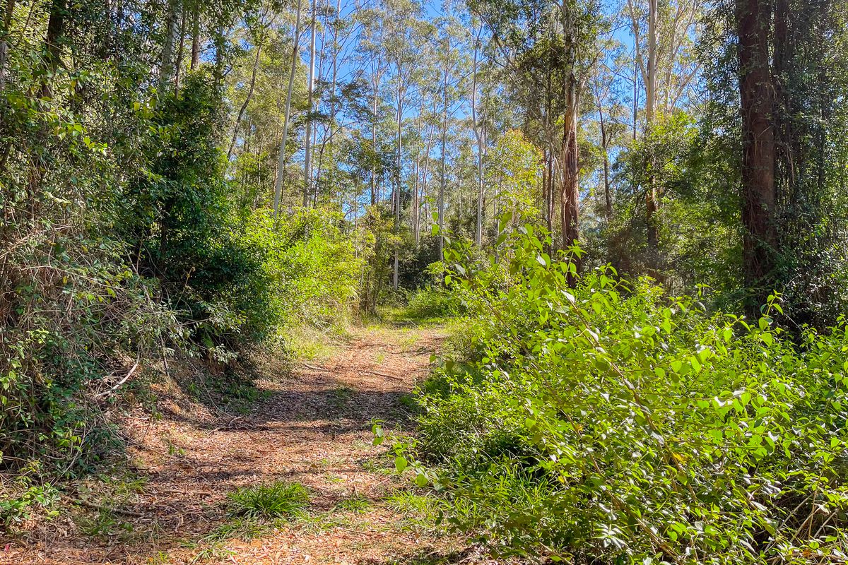 535 Waitui Road, Waitui