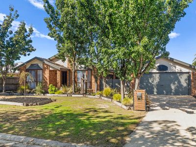 10 Wyldwood Close, Somerville