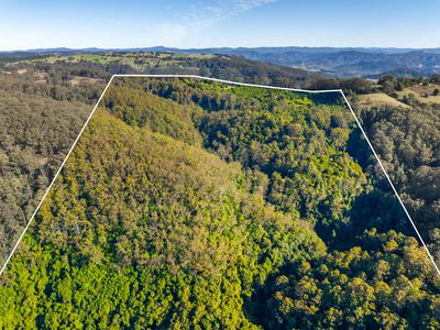 480 Ponsfords Road, Comboyne