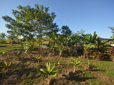 1212 Innisfail Japoon Road, Camp Creek