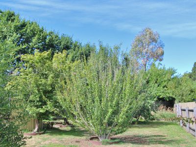 6 Prest Court, Mansfield