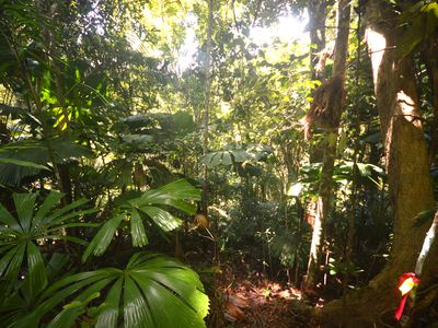 51 Waterfall Place, Jubilee Heights