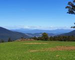 Lot 1 (51 Acres) Coal Mine Road, Kaoota