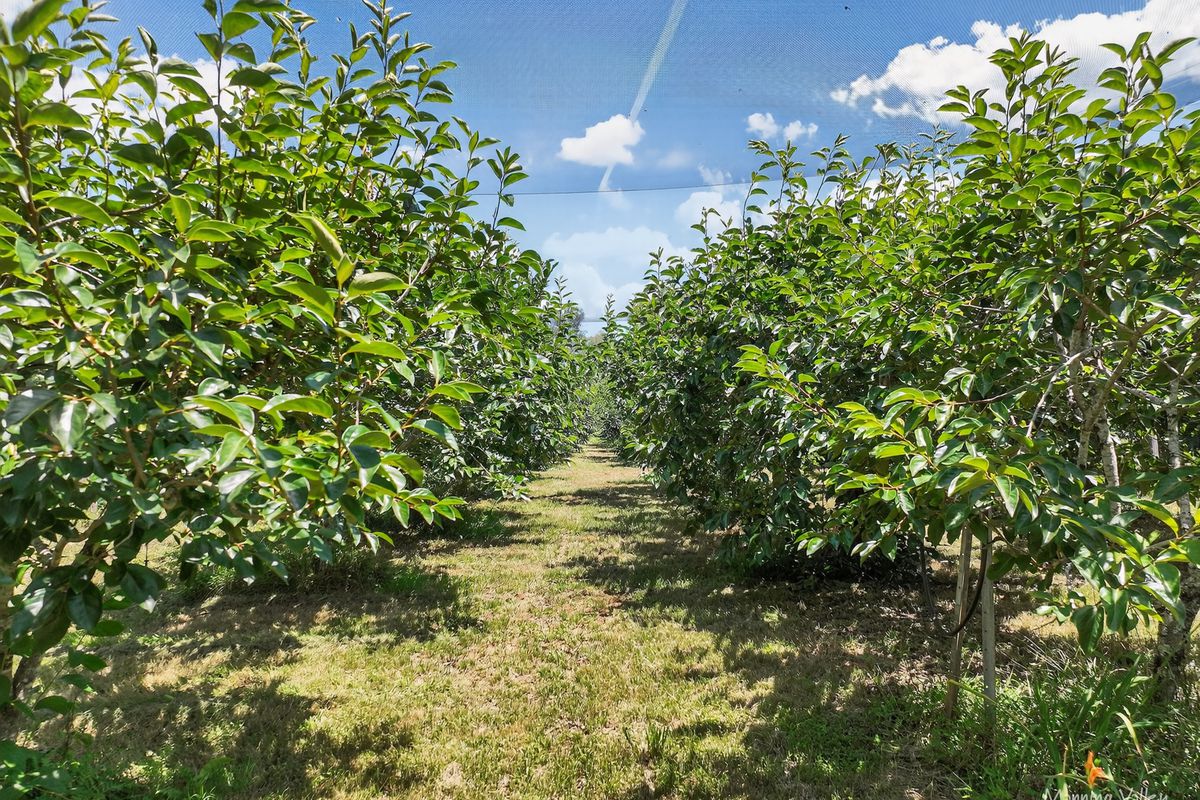 85 Schneiders Road, Bobin