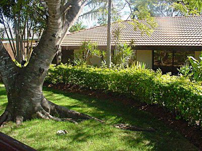 8 Hawdon Crescent, Springwood
