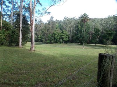 Palm Grove