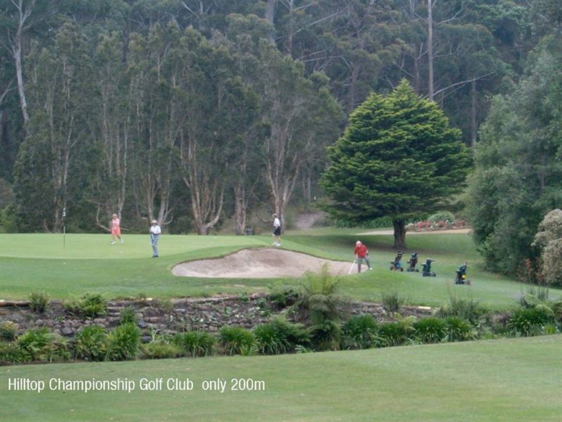 14 Everett Court, Mollymook