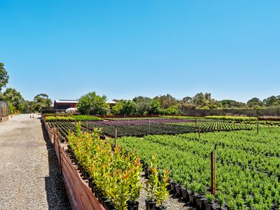 37 Landgren Road, Casuarina