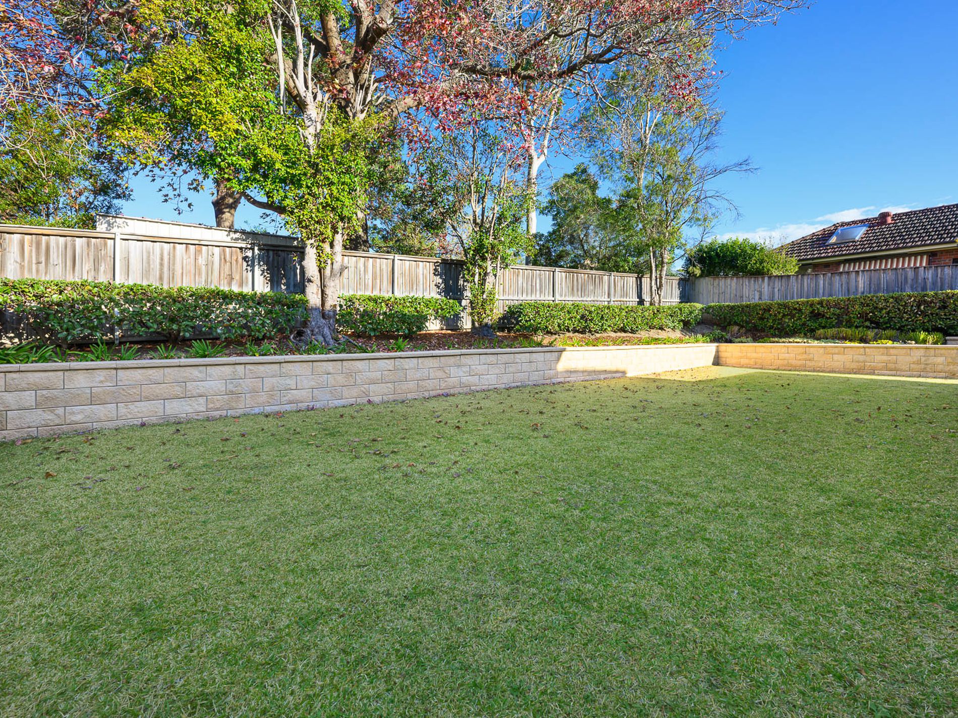 11 Marjorie Street, Roseville Obsidian Property