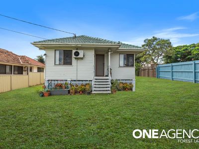 19 Japonica St, Inala