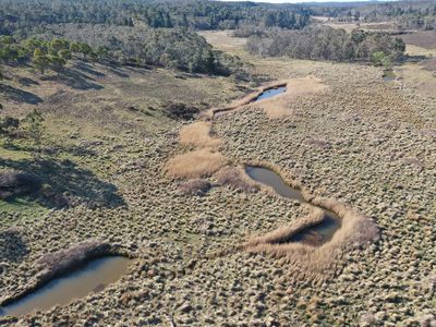 464 Cookanulla Road, Braidwood