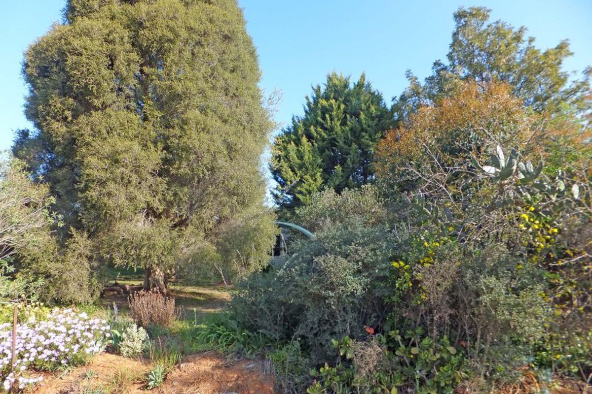 36 Thompsons Lane, Kyabram