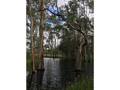 22 / Locke Lane, Nanango