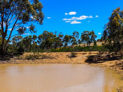 999 Burkes Flat - McIntyre Road, Mcintyre