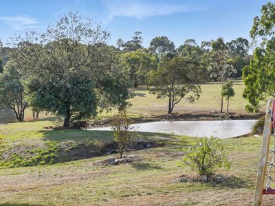 4 Blackwood Drive, Forcett