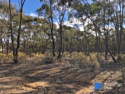 59 Palmer Road, Simson